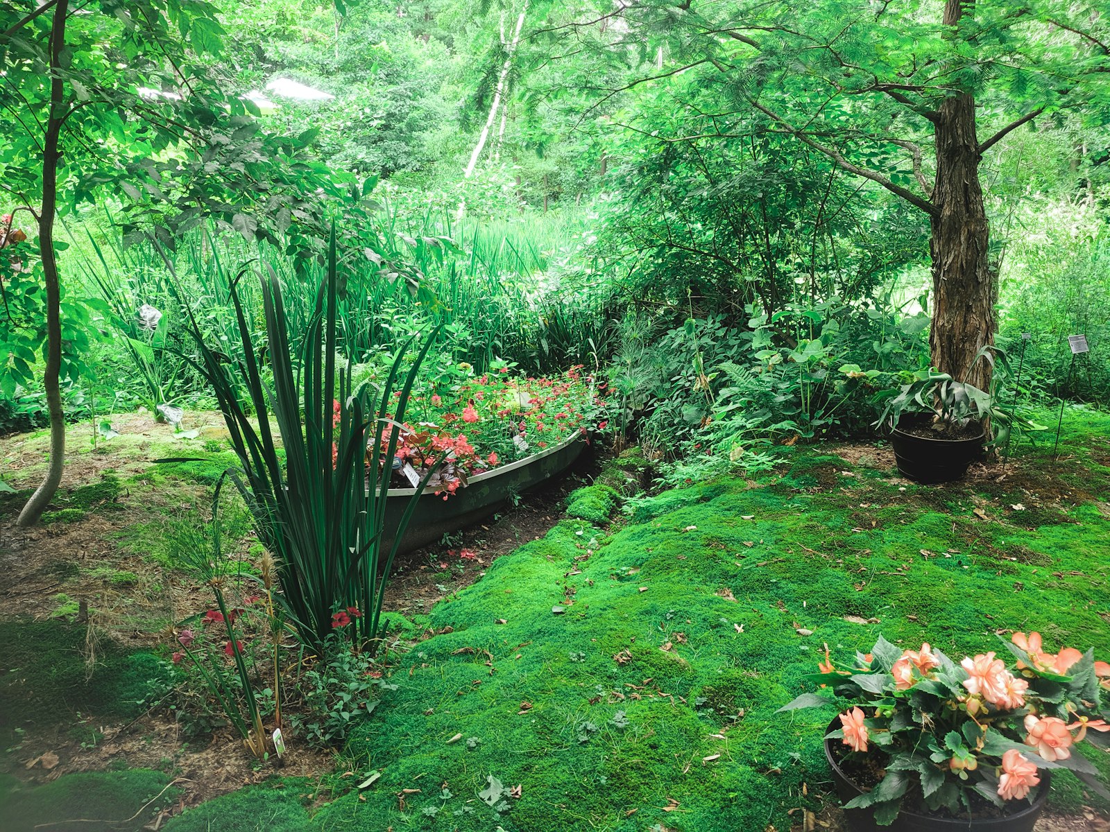 Lush landscaped garden bed